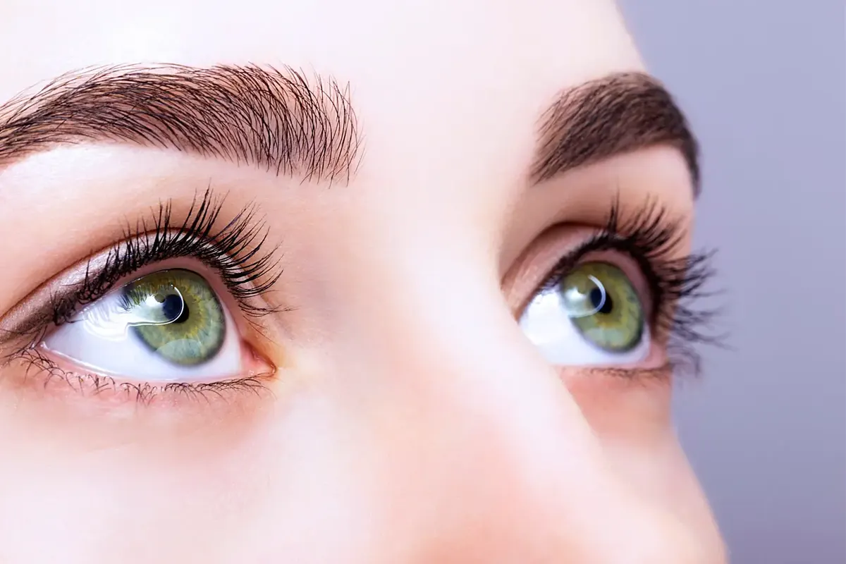 Augenbrauen und Wimpern in Leipzig: Behandlung der Augenpartie bei RELAX plus