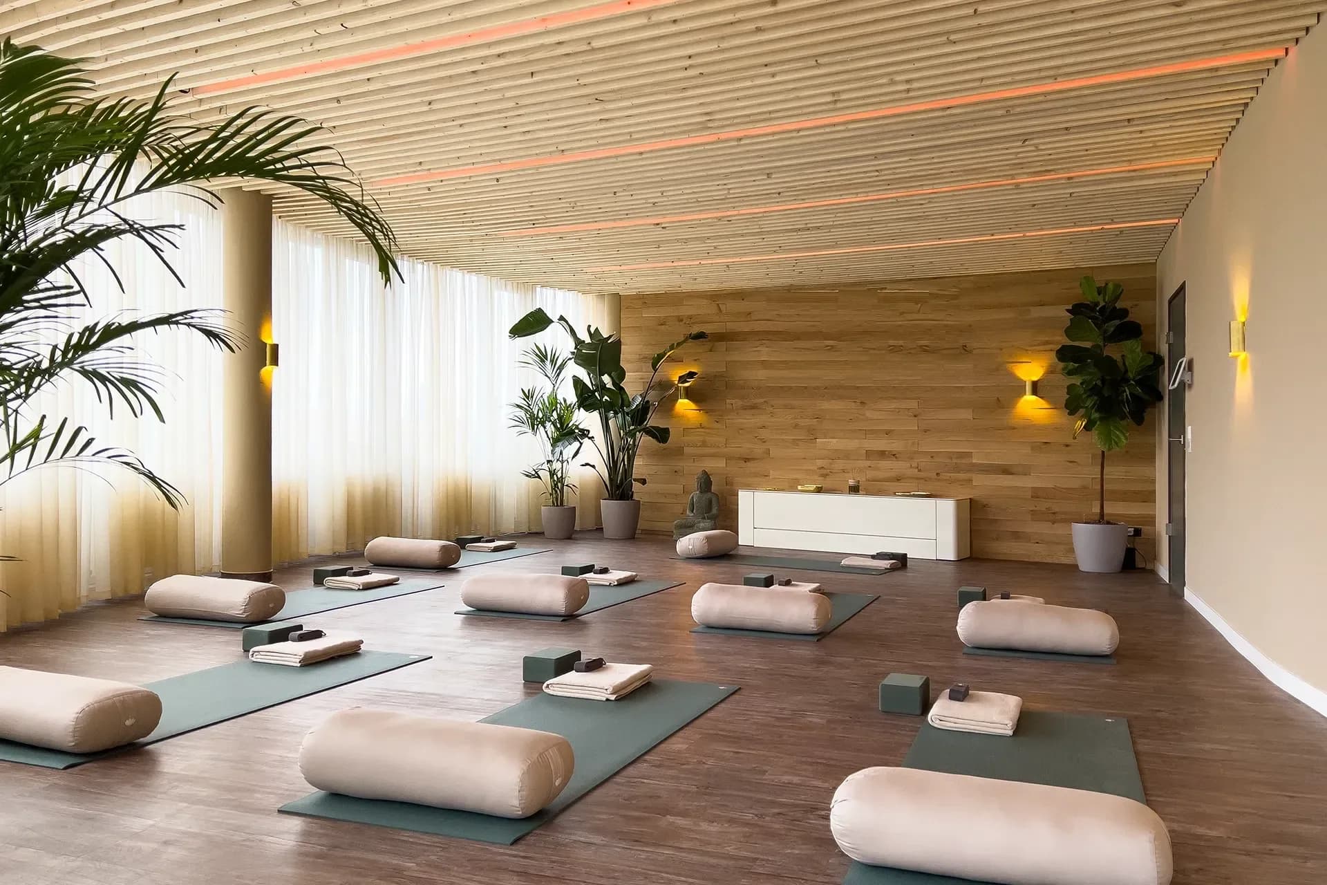 RELAX plus STUDIO: heller Kursraum mit Holzwand, Pflanzen, Buddha und Yogamatten in Leipzig