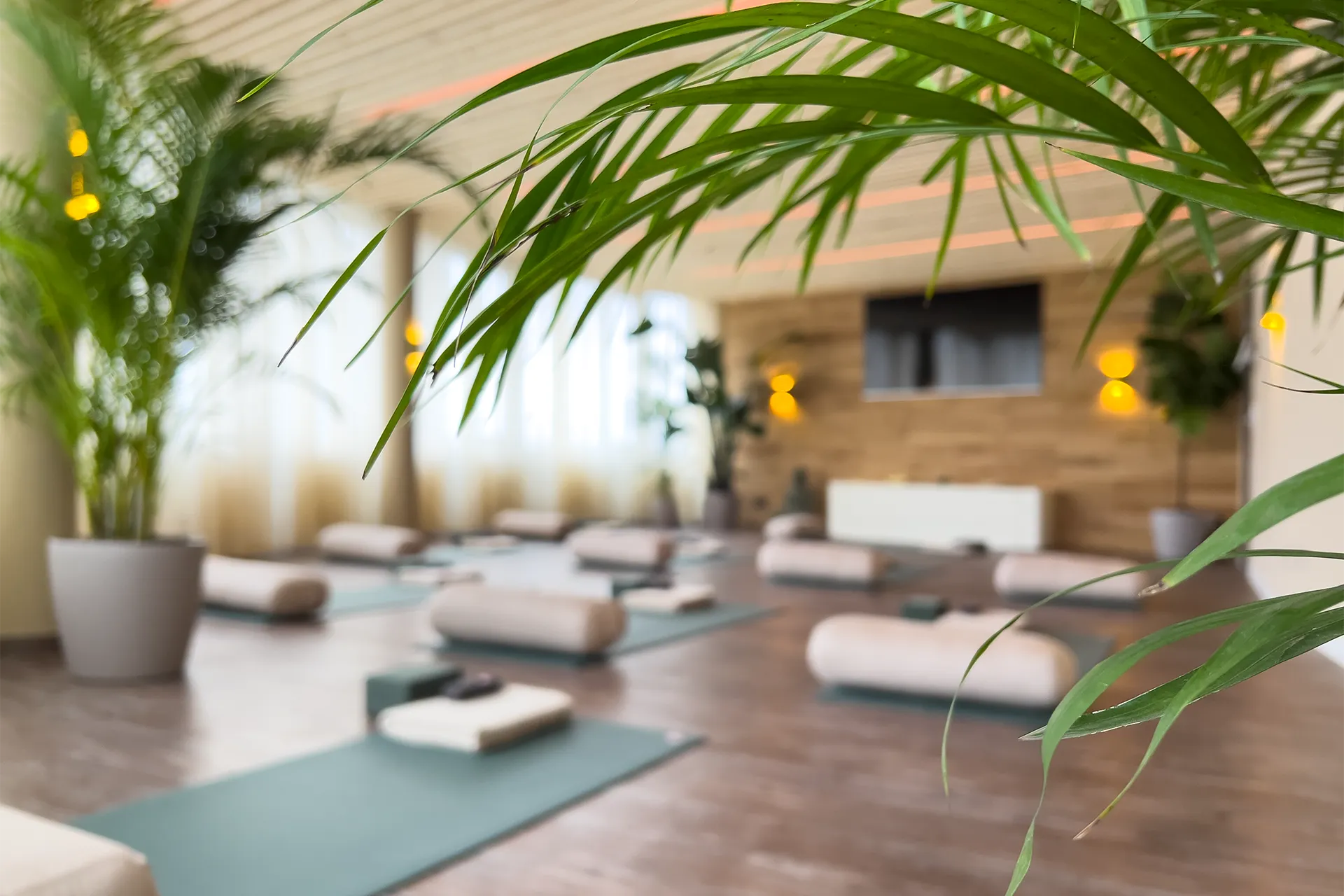 Yoga für Anfänger in Leipzig: Kursraum des RELAX plus STUDIO mit Matten, Palmen und Holzdecke