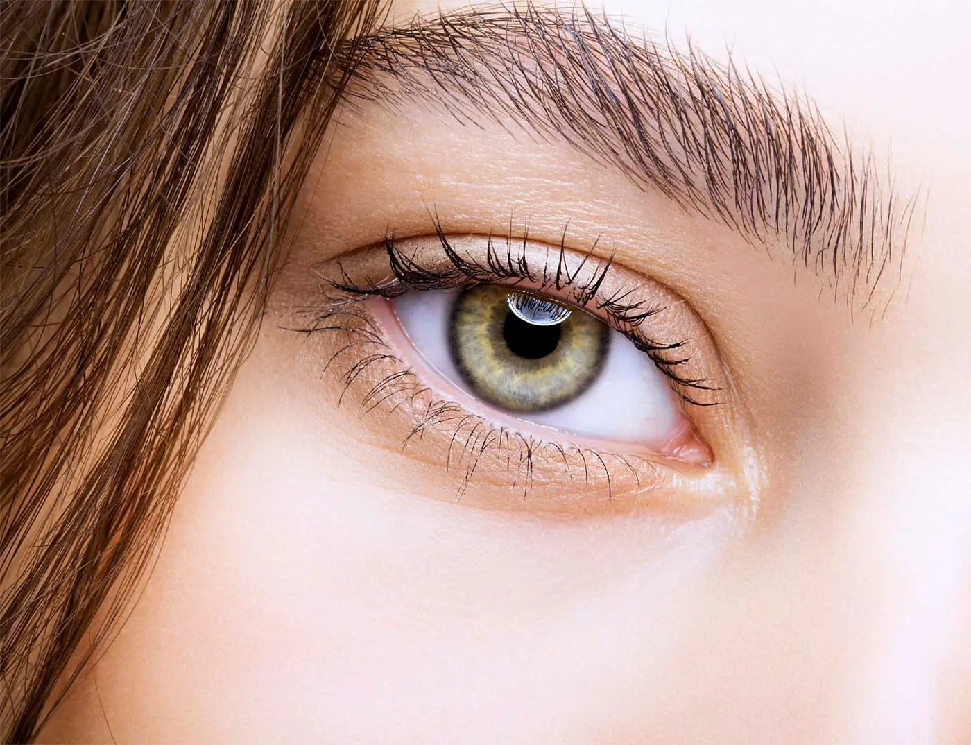 Bild von der Augenpartie einer jungen Frau mit Augenbrauen- und Lashlifting